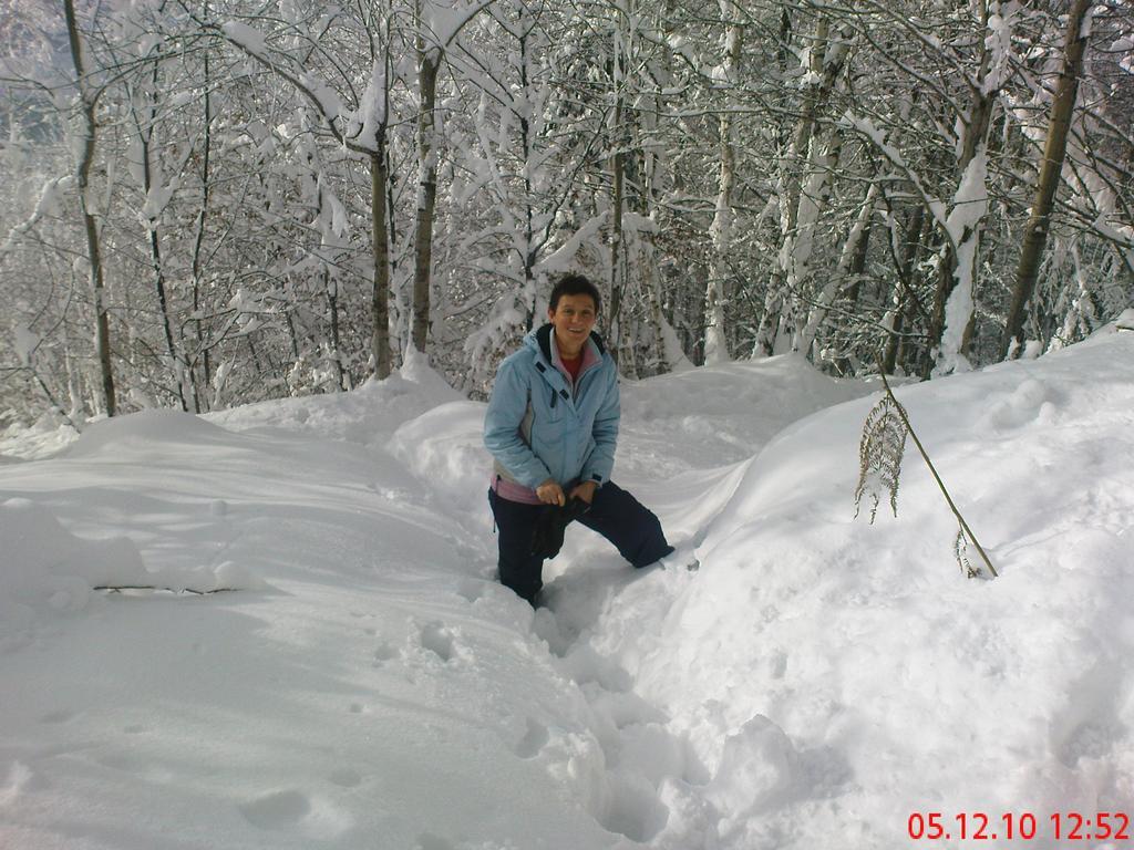 Studio Jesenice Luaran gambar